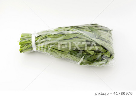 空心菜(クウシンサイ)袋入り 空心菜(クウシンサイ)袋入り 41780976