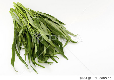 空心菜(クウシンサイ) 空心菜(クウシンサイ) 41780977