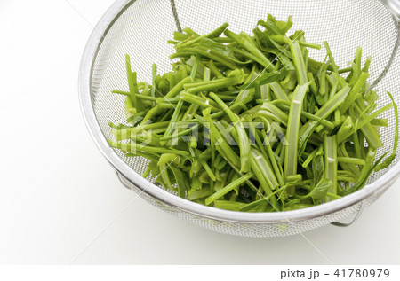 空心菜(クウシンサイ)の茎 空心菜(クウシンサイ)の茎 41780979