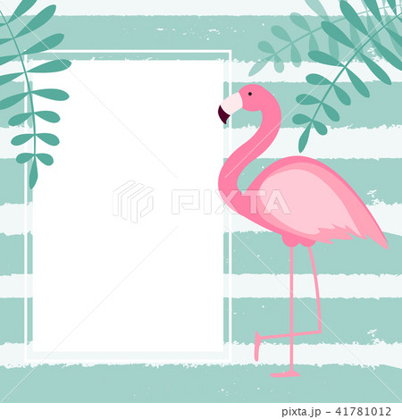 Cute Summer Abstract Frame Background with Pink Flamingo Vector Illustration 41781012