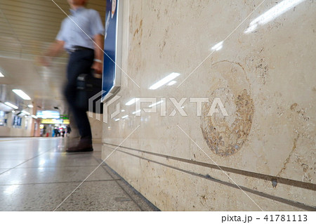 大理石の化石 東京メトロ三越前駅 大理石の化石 東京メトロ三越前駅 41781113