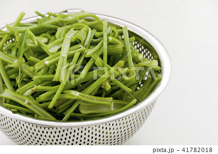 空心菜（クウシンサイ）の茎 41782018