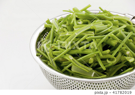 空心菜（クウシンサイ）の茎 41782019