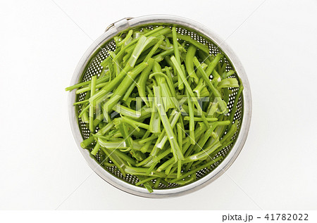 空心菜(クウシンサイ)の茎 空心菜(クウシンサイ)の茎 41782022