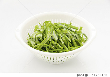 空心菜(クウシンサイ)の茎 空心菜(クウシンサイ)の茎 41782186