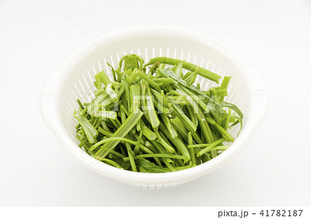 空心菜（クウシンサイ）の茎 41782187
