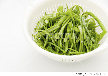 空心菜（クウシンサイ）の茎 41782189