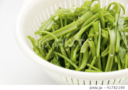 空心菜（クウシンサイ）の茎 41782190