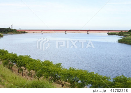青空 海 橋 河口 緑 自然 夏空 写真 青空 海 橋 河口 緑 自然 夏空 写真 41782258