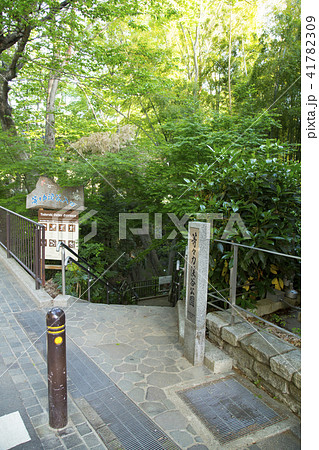 等々力渓谷公園の入り口 41782309