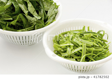 空芯菜（エンサイ）の葉と茎 41782502