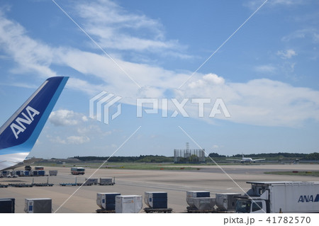 ANAと貨物トラック（成田国際空港） 41782570