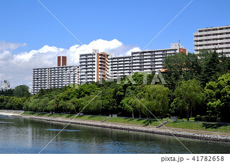 勝島橋から見た八潮パークタウン 勝島橋から見た八潮パークタウン 41782658