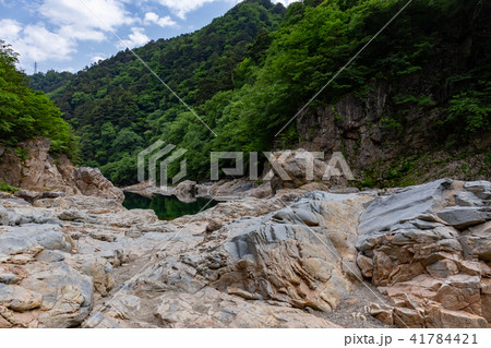 栃木県日光市 龍王峡(5月) 栃木県日光市 龍王峡(5月) 41784421