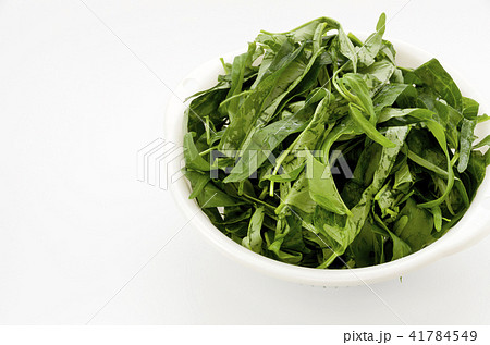 空心菜（クウシンサイ）の葉 41784549