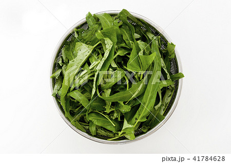 空心菜（クウシンサイ）の葉 41784628