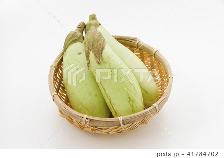 青茄子 青茄子 41784702