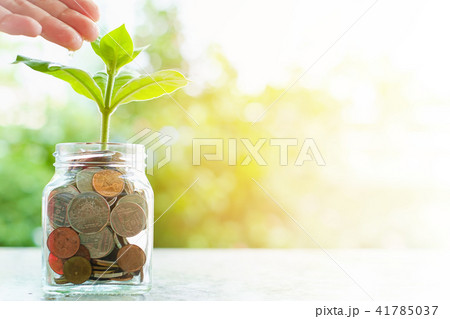 Hand watering the plant growing from coins 41785037