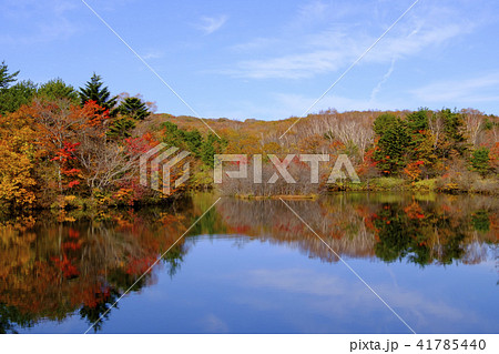 八方湖の紅葉 41785440