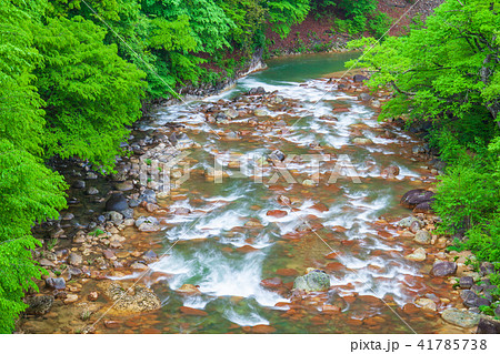 新緑の川 新緑の川 41785738
