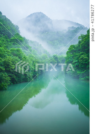 新緑の川 41786277