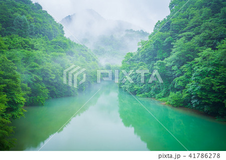 新緑の川 41786278