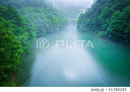 新緑の川 41786285