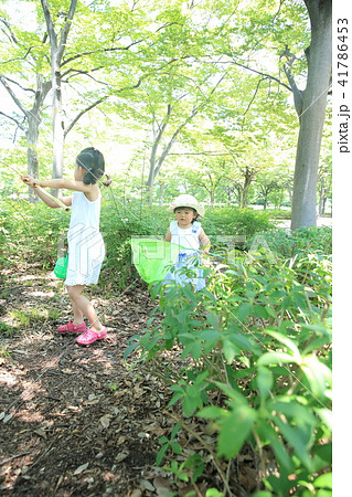 虫取りする子ども 41786453