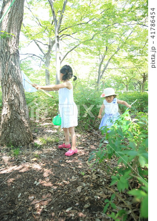 虫取りする子ども 41786454