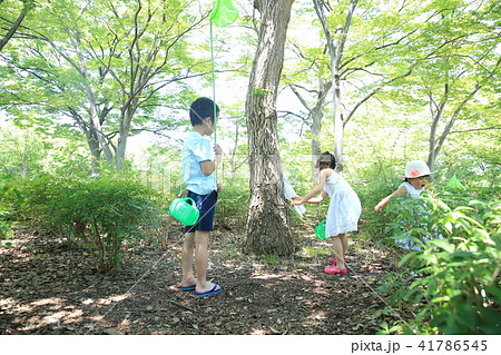 虫取りする子ども 41786545