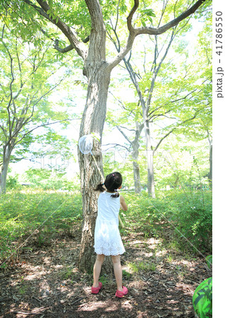 虫取りする子ども 41786550
