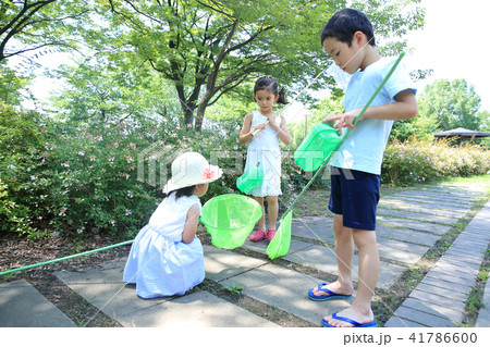 虫取りする子ども 41786600