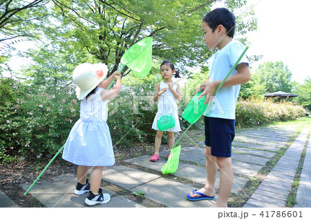虫取りする子ども 41786601