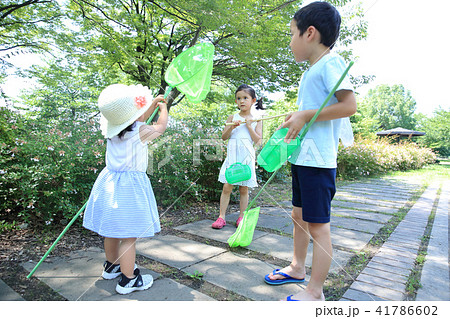 虫取りする子ども 41786602