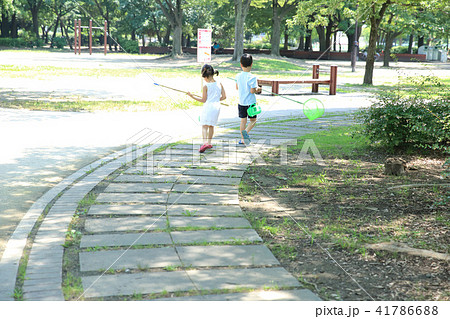 虫取りする子ども 41786688