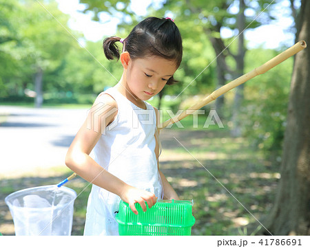虫取りする子ども 虫取りする子ども 41786691