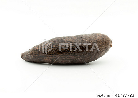 ヤンピ芋 : yampi 41787733