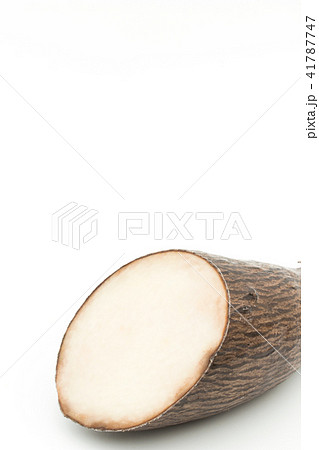 ヤンピ芋 : yampi 41787747