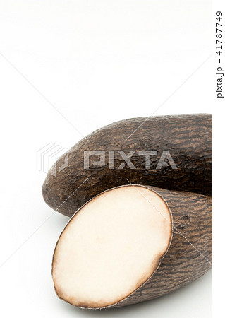 ヤンピ芋 : yampi 41787749