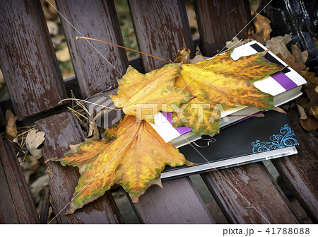 Book and fallen leaves on a Park bench. Book and fallen leaves on a Park bench. 41788088