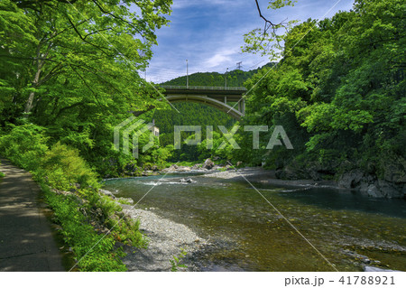 新緑の御岳渓谷　御岳大橋 41788921