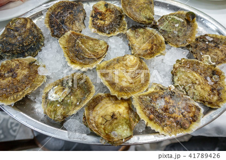 Oyster plate with ice 41789426