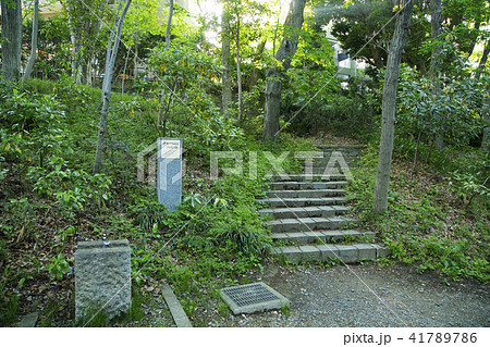 等々力渓谷2号横穴跡 等々力渓谷2号横穴跡 41789786