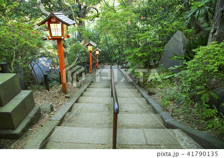 等々力渓谷と等々力不動尊をつなぐ階段 41790135