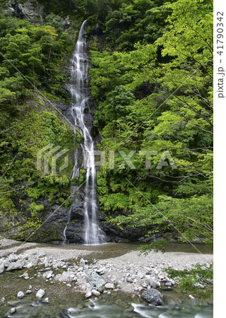 不動の滝(奈良県吉野郡十津川村) 不動の滝(奈良県吉野郡十津川村) 41790342