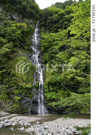 不動の滝(奈良県吉野郡十津川村) 不動の滝(奈良県吉野郡十津川村) 41790345