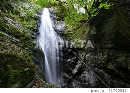 蜻蛉（せいれい）の滝（奈良県吉野郡川上村） 41790355