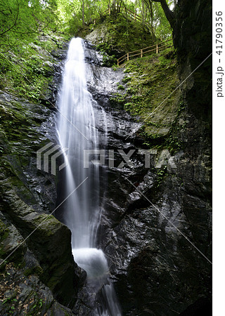 蜻蛉（せいれい）の滝（奈良県吉野郡川上村） 41790356