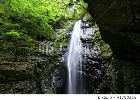 蜻蛉（せいれい）の滝（奈良県吉野郡川上村） 41790358