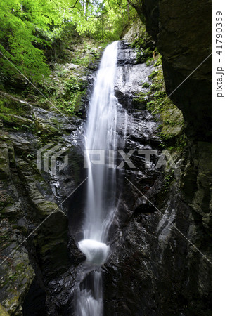 蜻蛉（せいれい）の滝（奈良県吉野郡川上村） 41790359